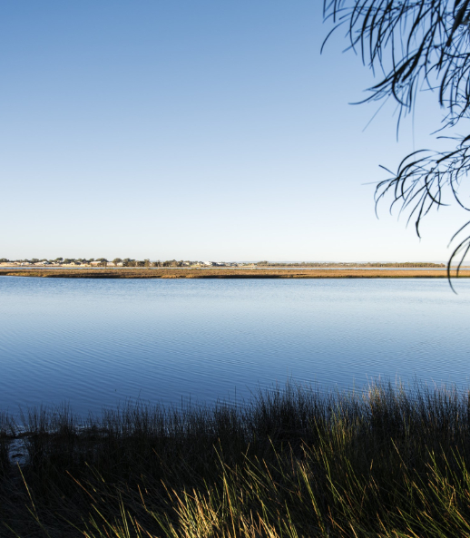 Osprey Waters